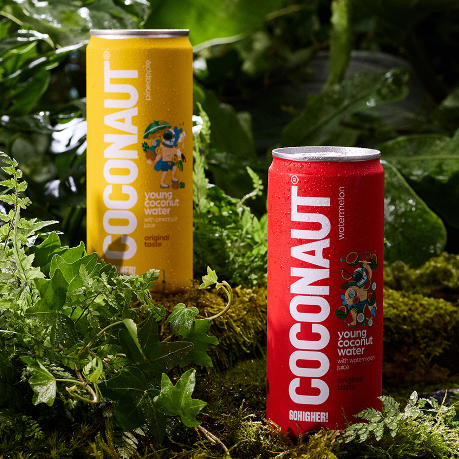 Coconaut® vesi GoHigher! Ananasmehulla