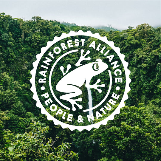 Rainforest alliance