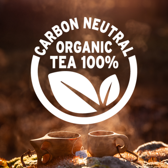 Nature-organic tea assortment 100 ps NEW