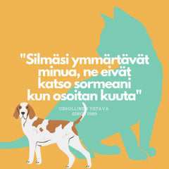 Uskollinen Ystävä -pussitee - Pussitee